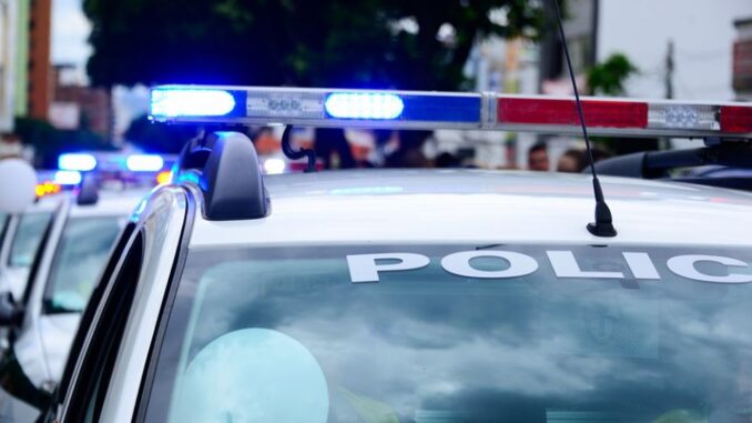 policija-strano-pixabay