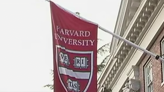 image-1747978125-601422