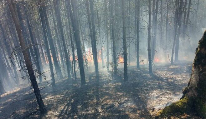 198502